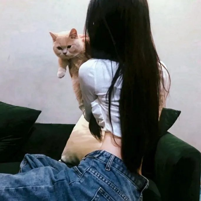 一尸到底
