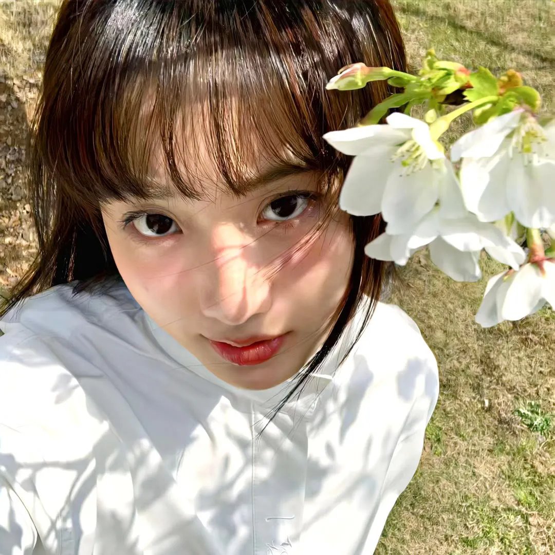 歌声欢唱的树